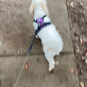 Meet your Posher, Carly